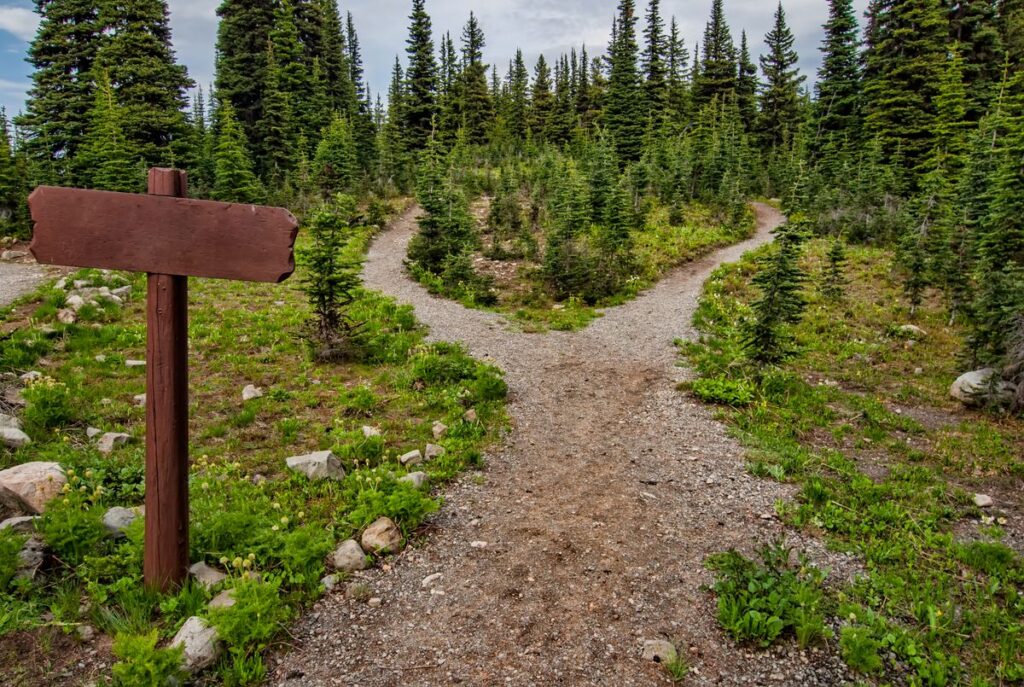 Sentier forestier qui se divise en deux chemins, symbolisant le choix de son parcours